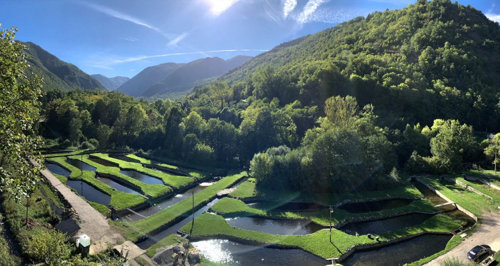 Élevage de truite en Ariège